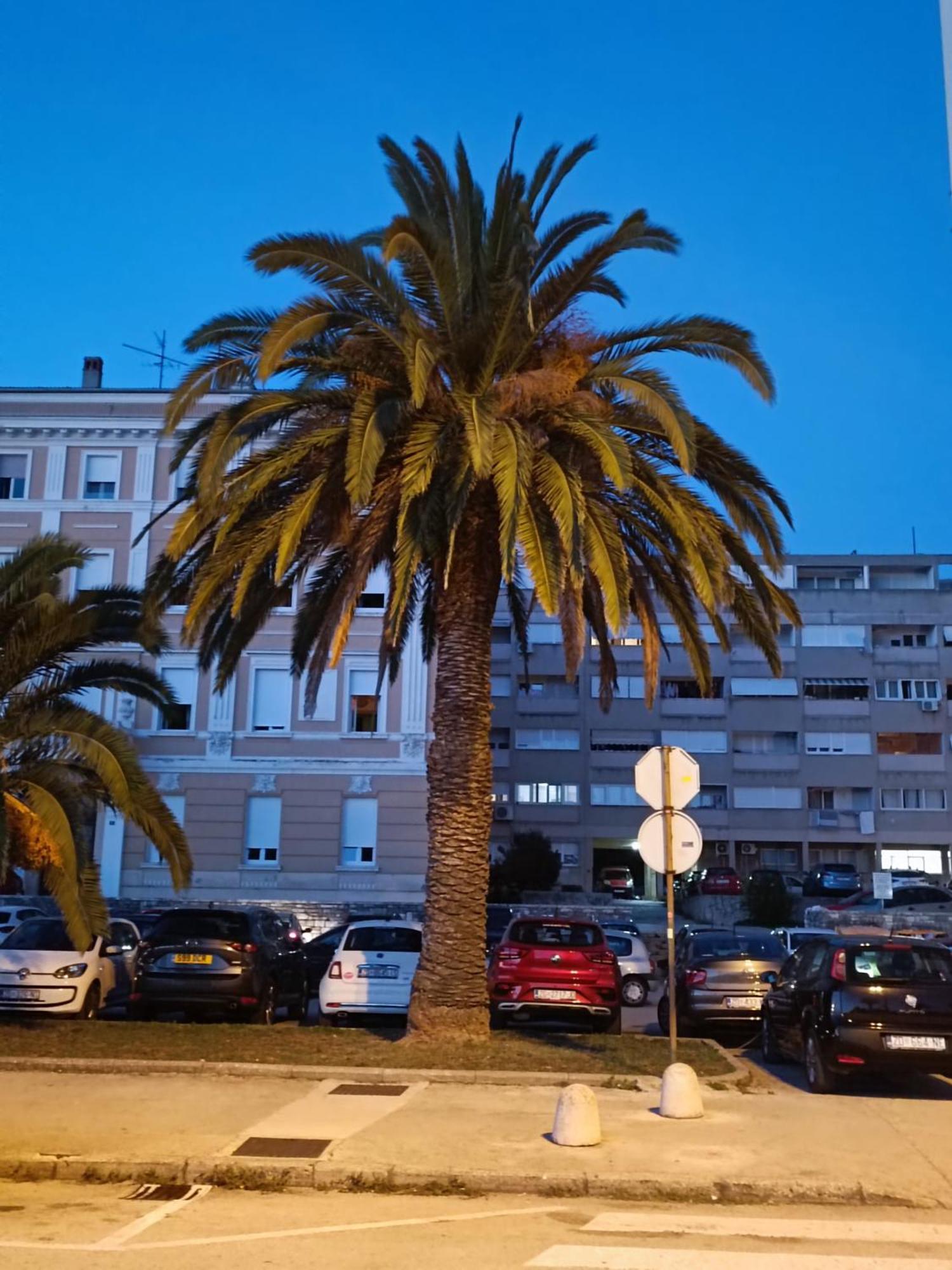 Zadar Beach Apartments Exterior foto